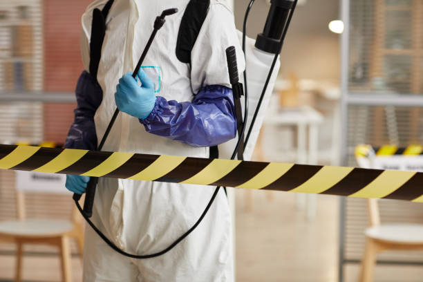 Professional Sewage Cleanup technician working in McLean, VA